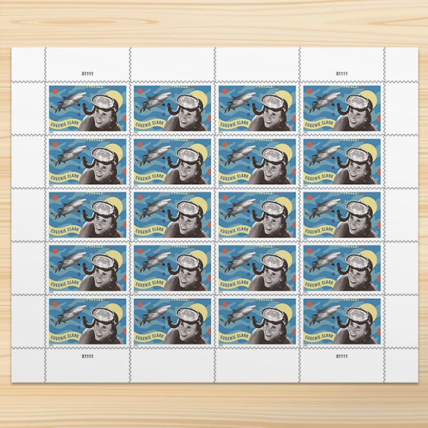 All Time Low (Price): $1200 Get 10000 Forever Stamps, More Than 100 Styles to Choose